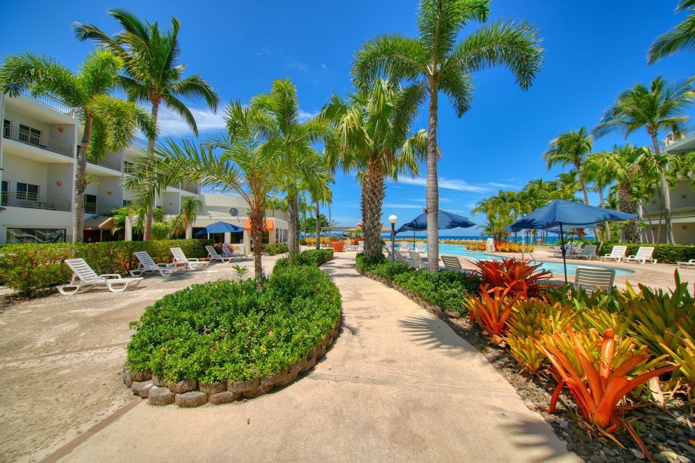 Rincon - Gallery photo