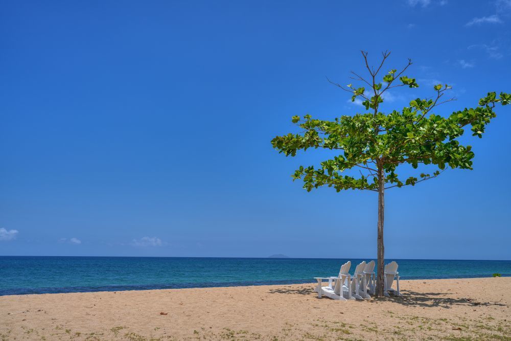 Rincon - Gallery photo