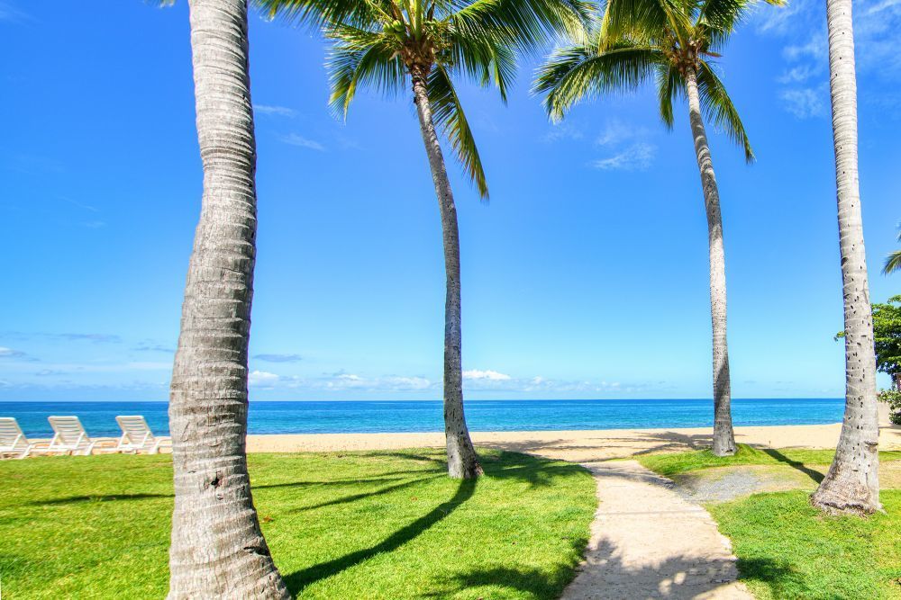 Rincon - Gallery photo