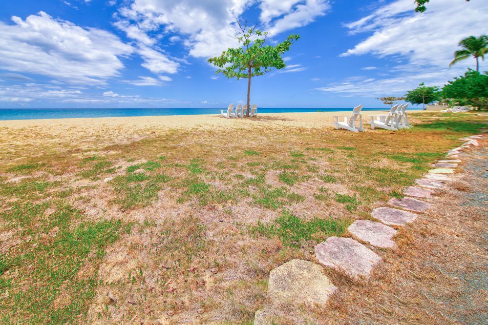 Rincon - Gallery photo