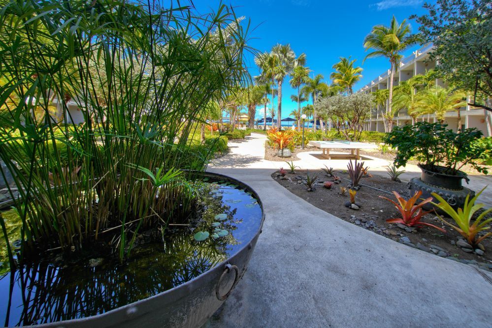 Rincon - Gallery photo